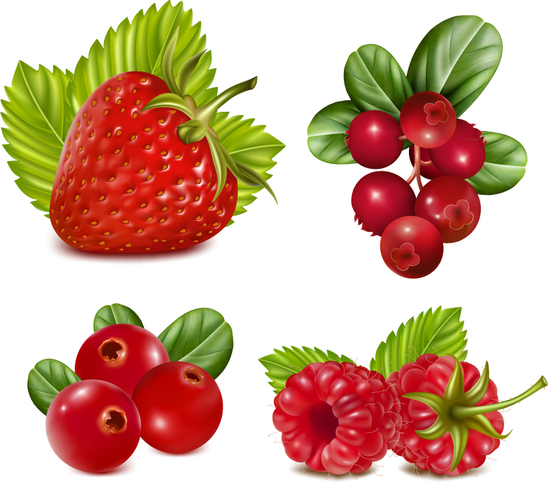4 fruits rouges vecteur matriel de conception
