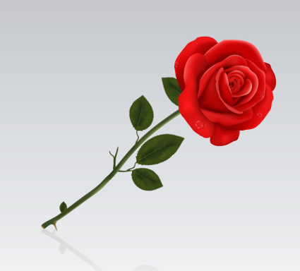 Simple roses rouges vecteur matriel
