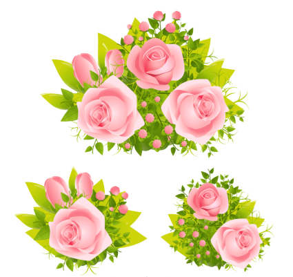 Groupe 3 belles roses roses vecteur matriel
