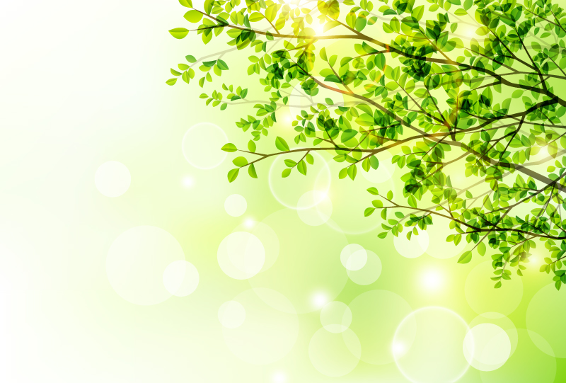 Arbres de printemps et soleil vecteur
