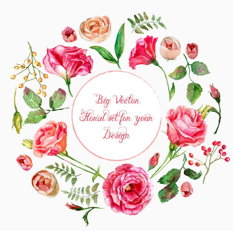 Belles fleurs d'¨¦t¨¦ de dessin vectoriel