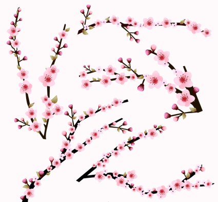 5 rose cerise vecteur mat¨¦riel de branche