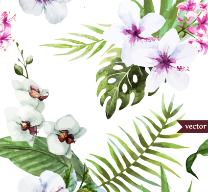 Hibiscus Blanc et le papillon vecteurs d'orchid¨¦es
