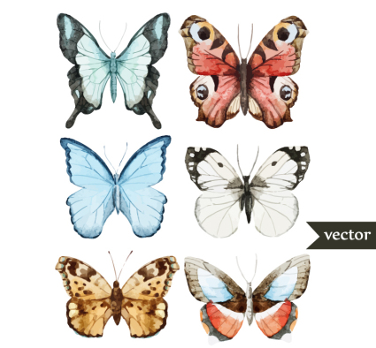 6 belle aquarelle papillon Vecteur
