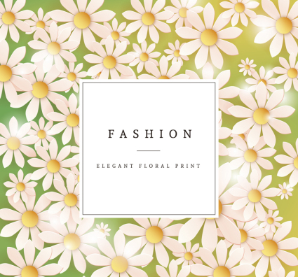 Blanc fleurs de marguerite vecteur mat¨¦riel de carte