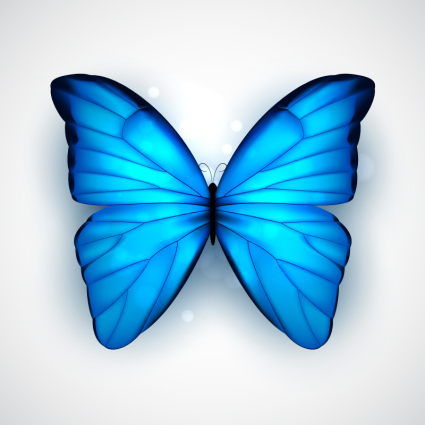 Belle matire de vecteur de papillon bleu
