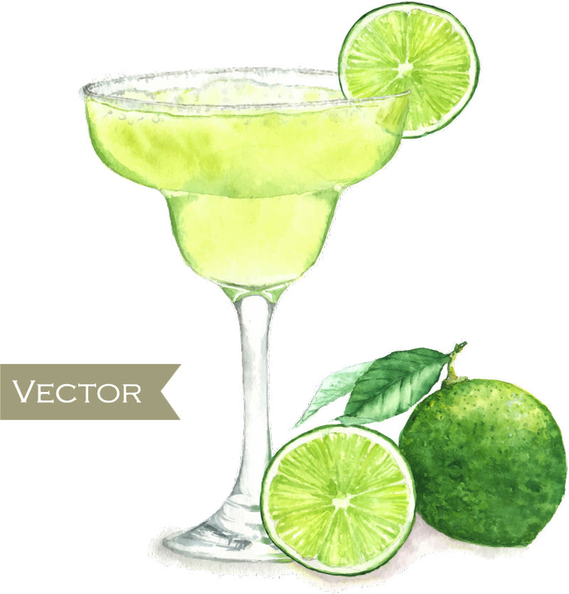Citron vert vecteur mat¨¦riel de Cocktail