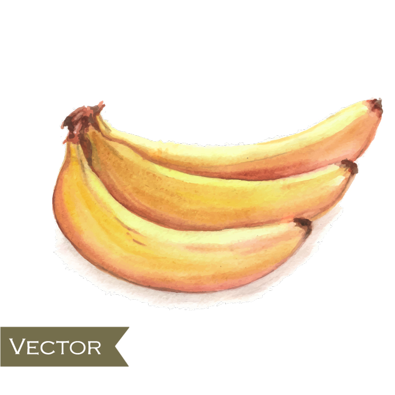 D¨¦licieux bananes jaunes vecteur mat¨¦riel