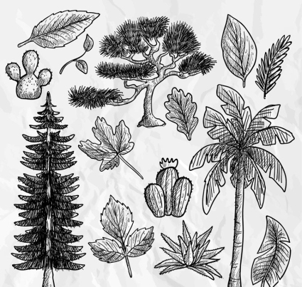 14 peint plantes et feuilles vecteur de conception