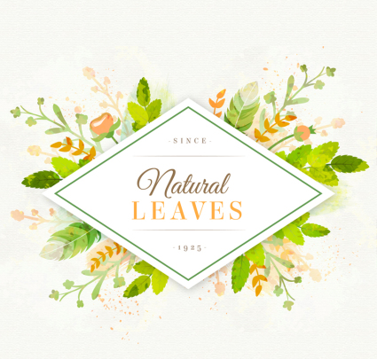 Les feuilles fraîches tiquette dcorative vecteur matriel
