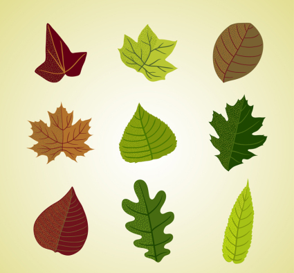 9 couleur laisse la conception vecteur mat¨¦riel