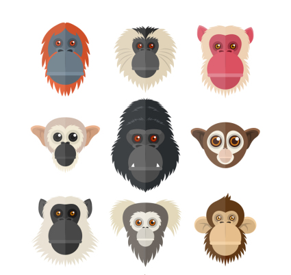9 singe cratif et vecteur matriel avatar orang-outan