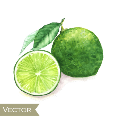 Peinture  l'eau vert citrons vecteur matriel