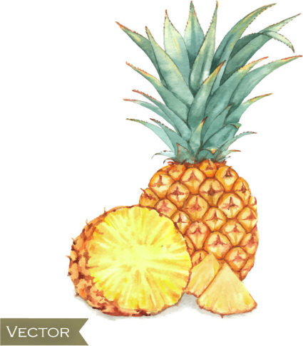 Peint d¨¦licieux vecteur mat¨¦riel d'ananas