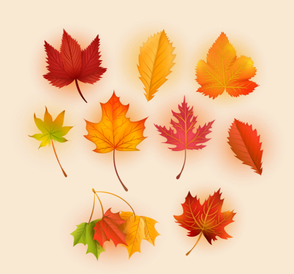 9 exquise des feuilles d'automne vector documentation