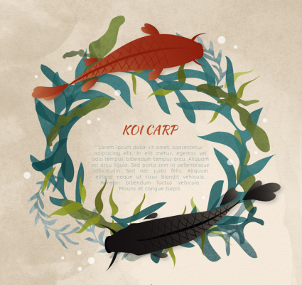 Koi Cr¨¦atif et Anneaux Aquatiques