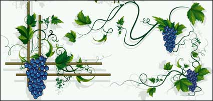 Raisins, vigne, le raisin matriel vecteur frontire feuilles
