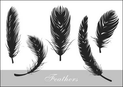 vecteur silhouette raliste plume