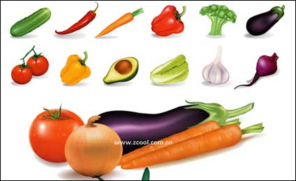 Plusieurs documents de lgumes commune vecteur