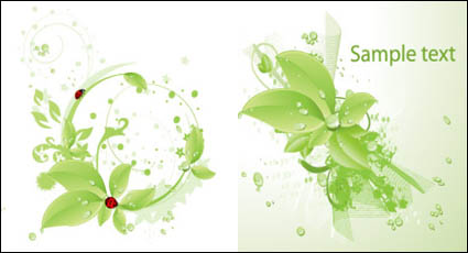 Vector coccinelle verte gouttes matriel foliaire