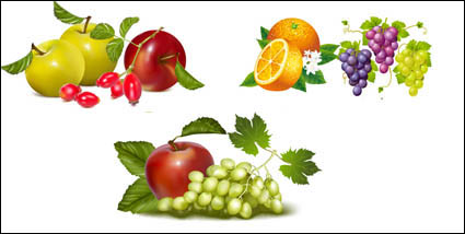 matriel vecteur de fruits