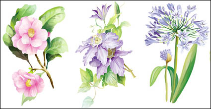 7 Matires lgante vecteur fleurs aquarelle