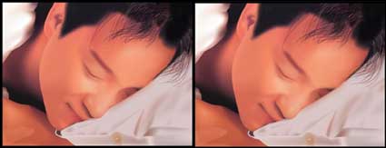 Leslie Cheung (frre) AI matriel