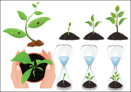Plants Vector