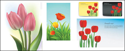 Tulipes vecteur de matriel