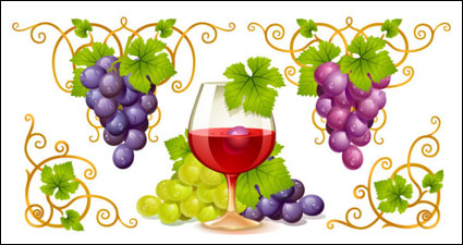 Vecteur vigne et du vin