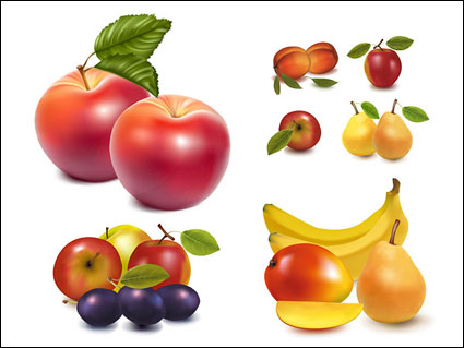 Vecteur de fruits Lifelike de matriel