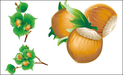 Vector 5 marrons