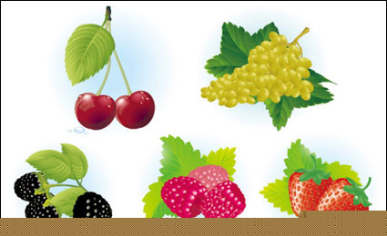 Fruits Vector