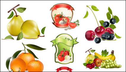 Thme les fruits et lgumes Vecteur
