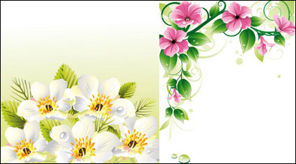 Parterres de fleurs Vector \ u0026amp; fond