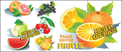 Fruits Vector
