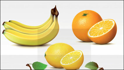 Vecteur de fruits frais