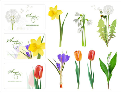 Certaines fleurs Vector