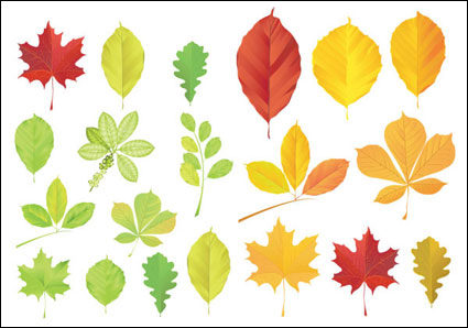 Feuilles Vector
