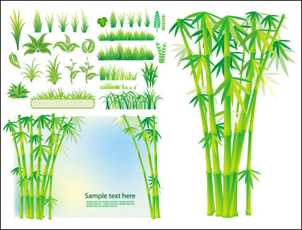 Usine de Vector herbe du bambou