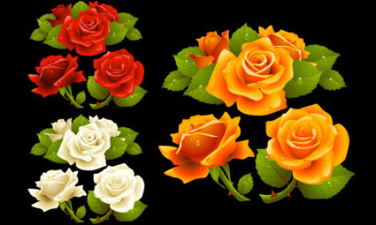 Quelle belle rose Vector