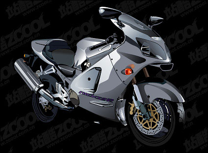 Vecteur de moto raliste
