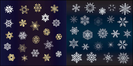 Une varit de belle neige Vector