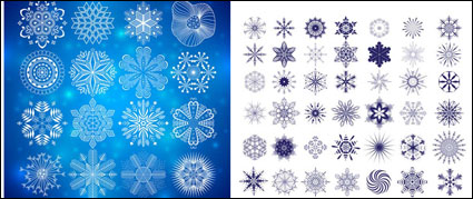 Exquise Graphics modles - Vecteur