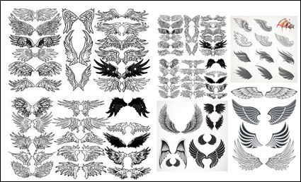 Une varit de matriaux ailes vecteur de totem