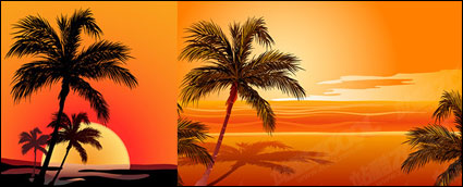 Coconut Beach coucher de soleil ombre vecteur