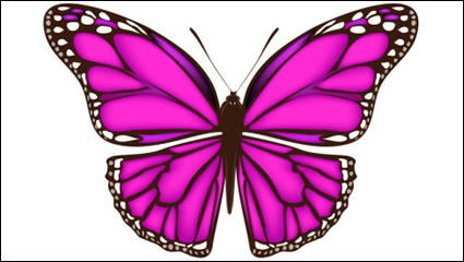 Matriels beau papillon 02 - matriel vecteur