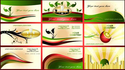 La carte europenne d