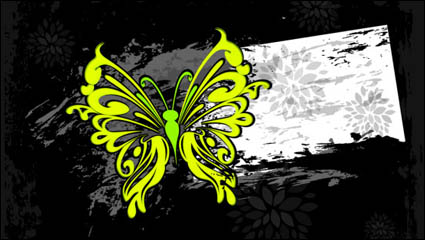 Couleur abstraite papillon modle 03 - vecteur