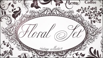 Schmas Ornate 05 - matriel vecteur